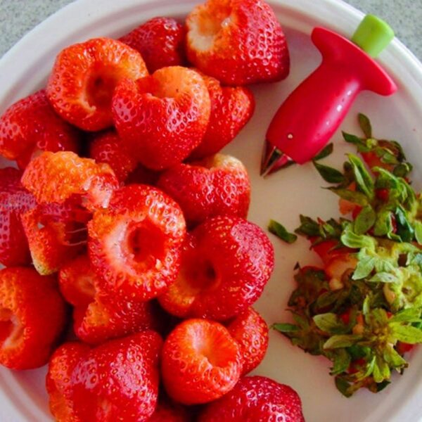 Strawberry Stem Huller with strawberries display